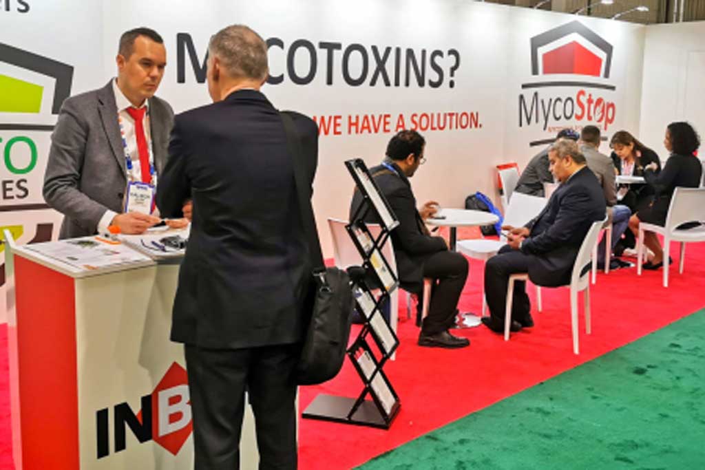 IPPE 2020
