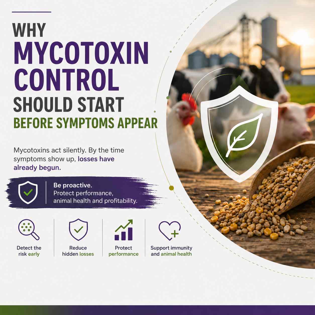 control de las micotoxinas